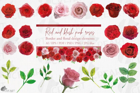 Download Blush Pink and Red Watercolour Roses Art - Premium Resources